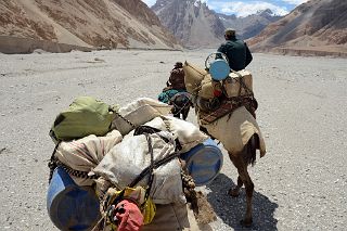 18 Our First Ride On The Camels To Cross The Shaksgam River Nearing Our First Camp Kerqin In The Shaksgam Valley After Descending From Aghil Pass On Trek To K2 North Face In China.jpg